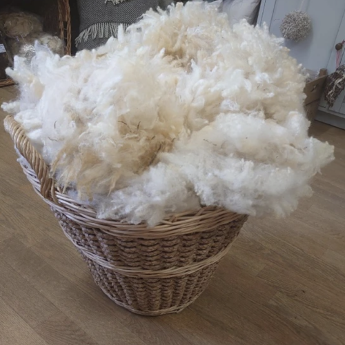 Romney Marsh Wool Raw fleece