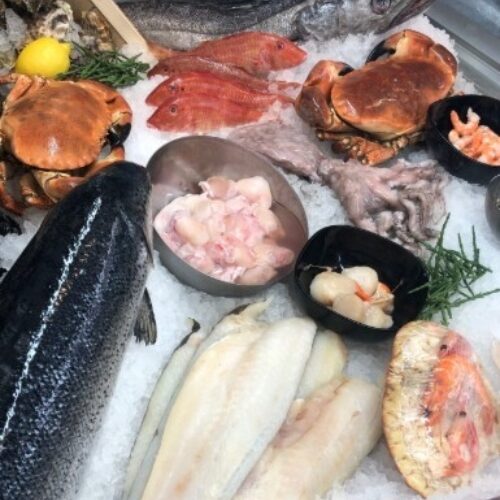 Seafoods square image of fish display