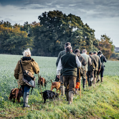 September Flavours Newsletter Morghew Park Estate