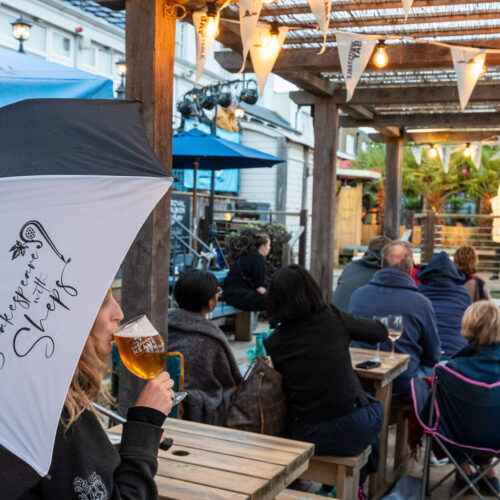 Shakespeare with Sheps