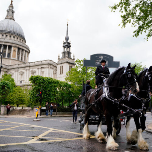 Shepherd Neames entry will include a traditional dray pulled by two shire horses