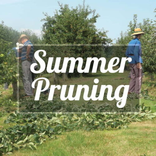 Short Courses 207 21x207 21