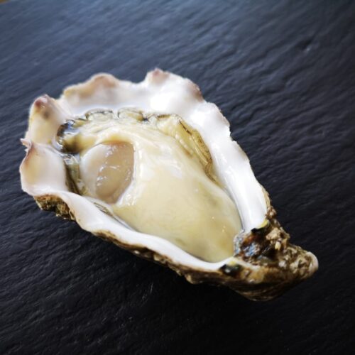 Shucked Oyster 1