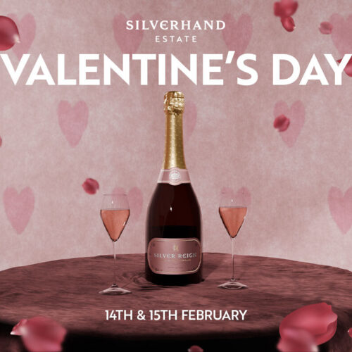 Silver Hand Valentines day FB