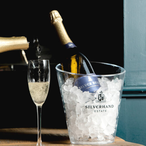 Silver Reign Ice Bucket 6