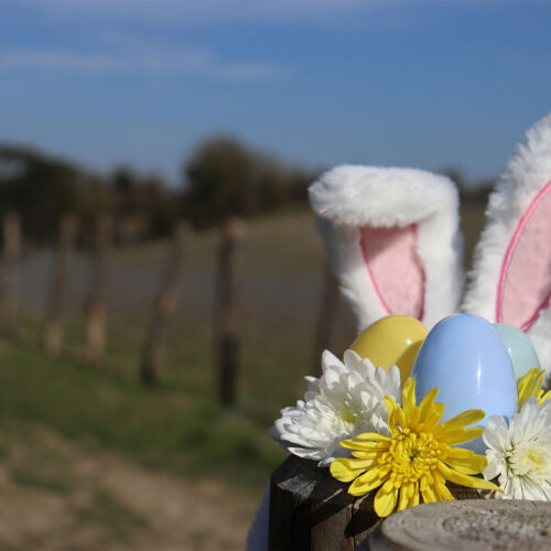 Silverhand Easter Scavenger Hunt Article Visual no text