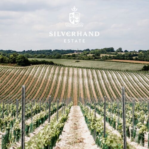 Silverhand long view