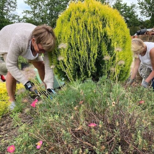 Spadeworks gardening