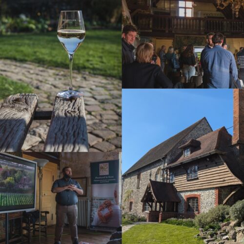 Square NETWORK AND Wine Conservation History CROPPED