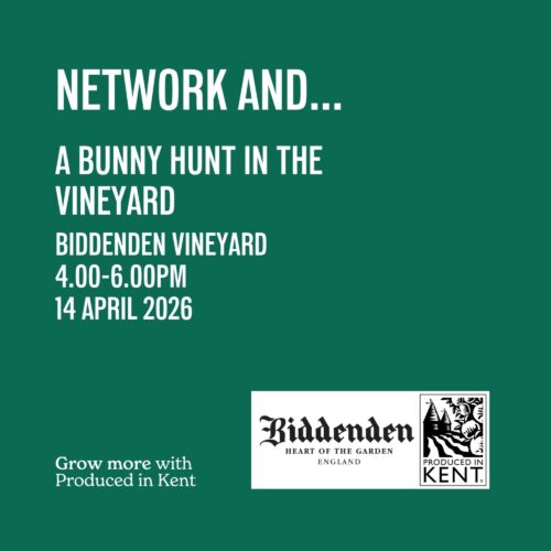 Square Network And Biddenden bunny Col