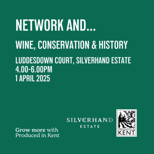 Square Network And Wine Conservation History
