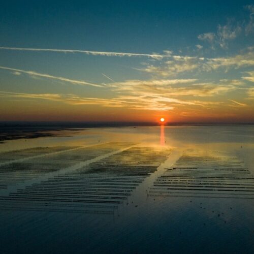 Sunset over Whitsable Oyster beds