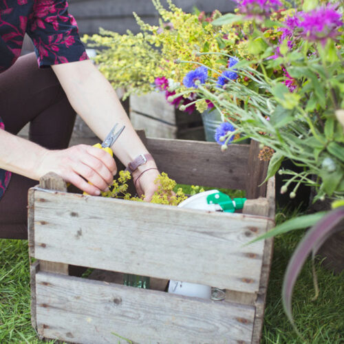 Sustainable and Eco friendly floristry 2