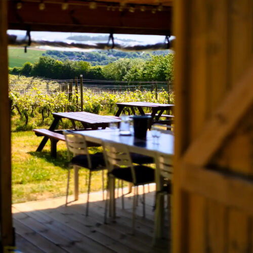 Terlingham view of picnic bench in sun