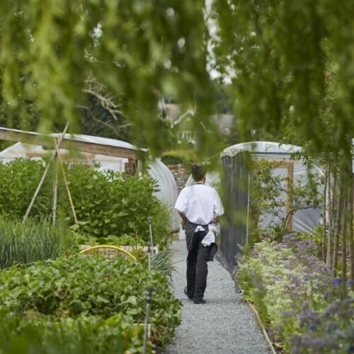 The Pig kitchen garden 1 jake eastham 1 Custom