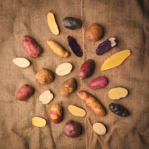 The Potato Shop Flavours Newsletter November Custom