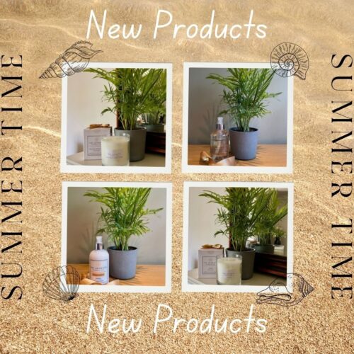 The aromatic candle co New Products