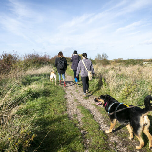 The initiative has been led by Kent County Council KCC and is hosted on the We Roam app