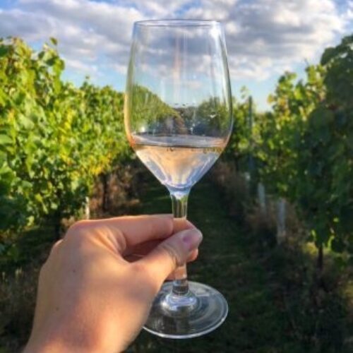 Virtual wine tasting 668x668