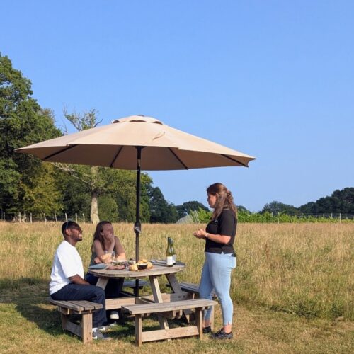 White Horse Wine Tours couple in golden light wayfarer wines