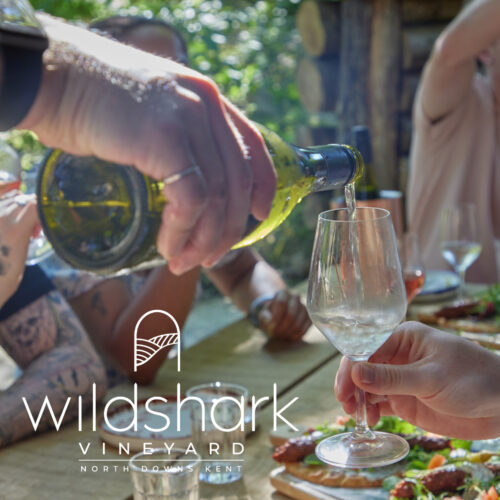 Wildshark Fathers Day