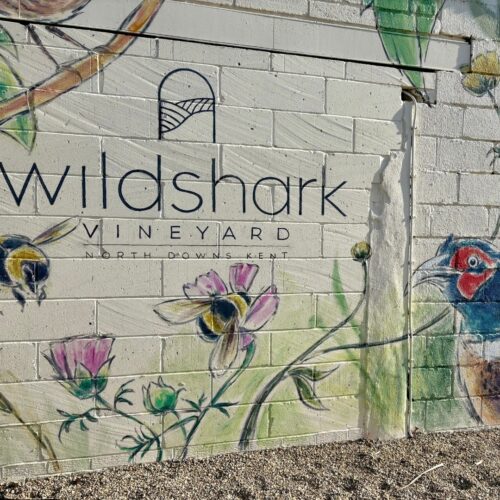 Wildshark Wall