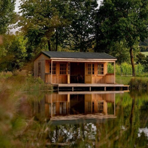 Wildshark lake view smaller 2