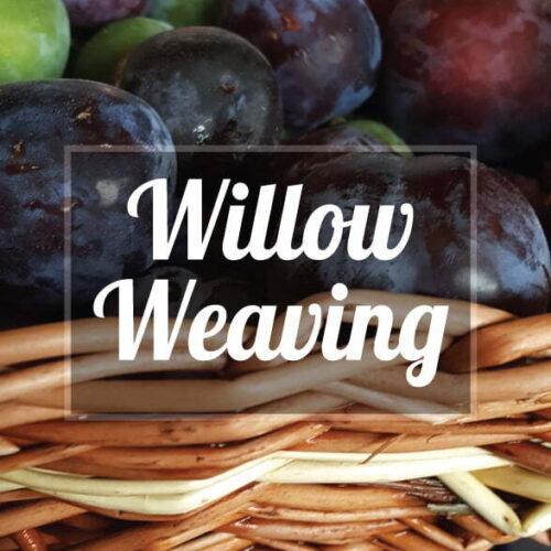 Willow Weaving 207 21x207 21