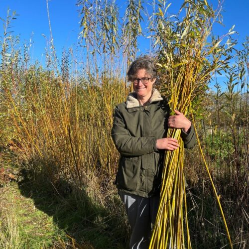 Willow Weaving Blooming Green