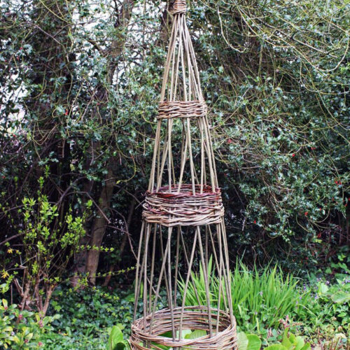 Willow Weaving Workshop