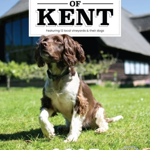 Wine Dogs of Kent Calendar front