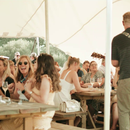 Wine Tours of Kent Heard it through the grapevine