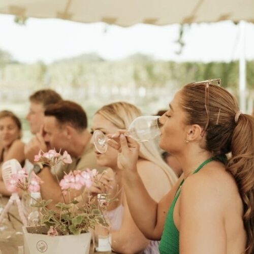 Wine Tours of Kent July 24