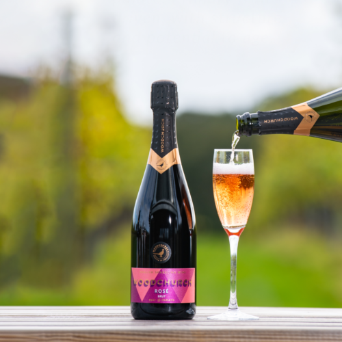 Woodchurch Mothersday rose