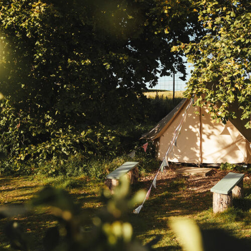 Woolton Farm Wines 56 websize