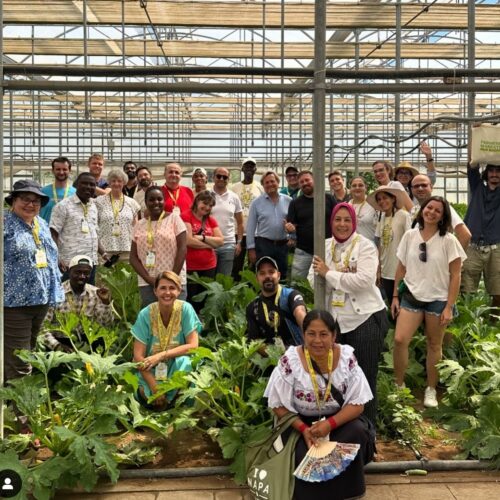 World farmers market coalition