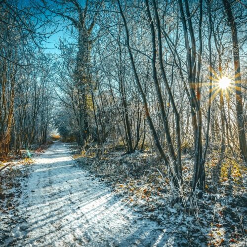 Andy holmes Wy8z C Ry T Vm0 unsplash