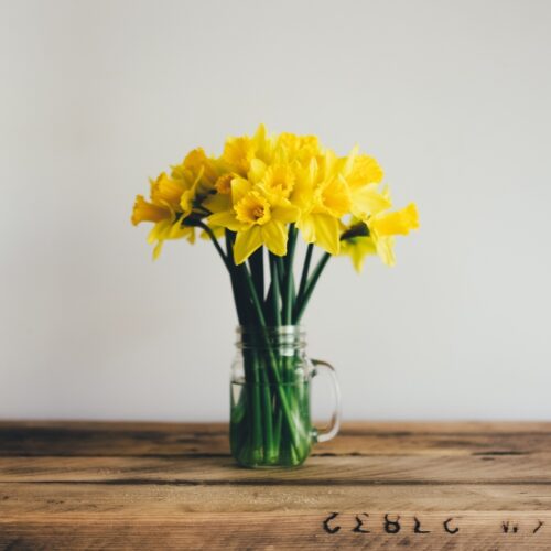 Unsplash daffodils in jar on wood