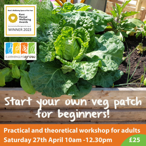 Communigrow start your own veg patch
