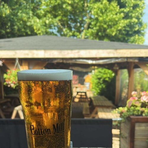 Cotton mill pint in garden