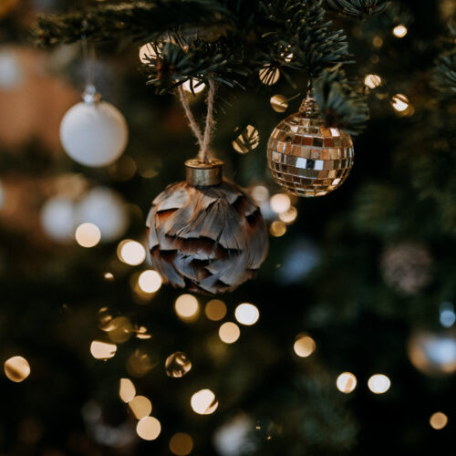 Ferry house december websize 18