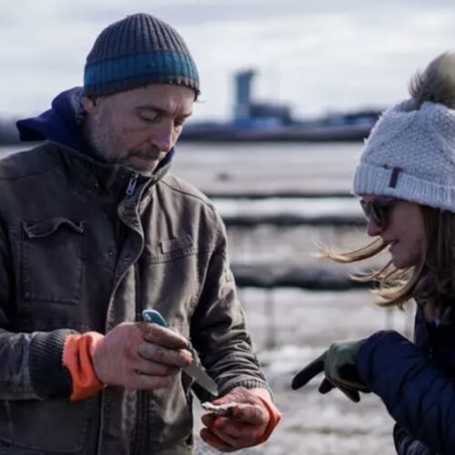 Whitstable Oyster Farm Tours Image00135