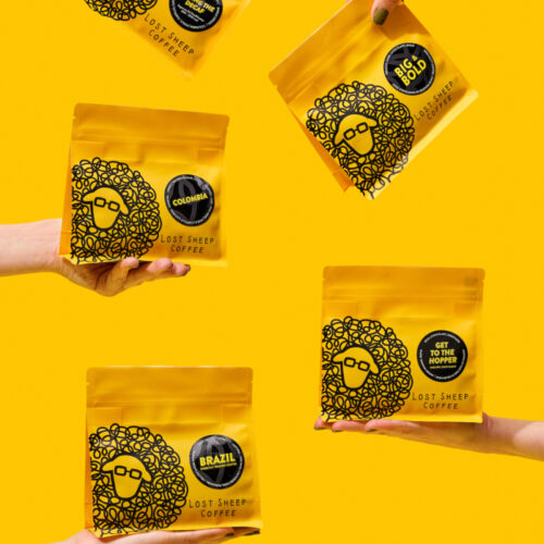 Lost sheep lifestyle 11