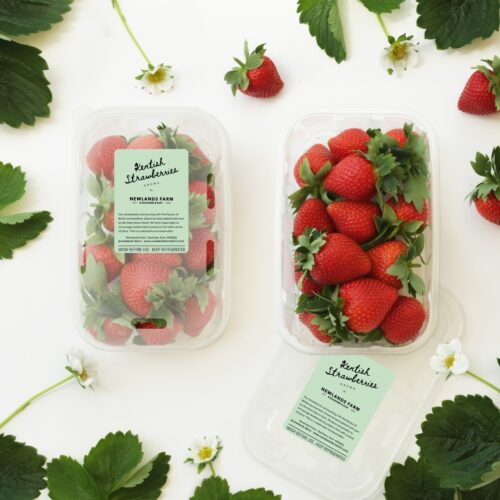 Newlands strawberries 2020 square