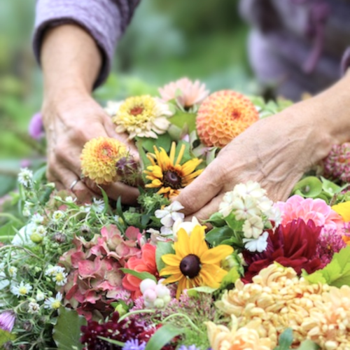 Webesite sharing sheaf photo