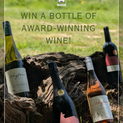 White horse wine tours wine bottle competition photo