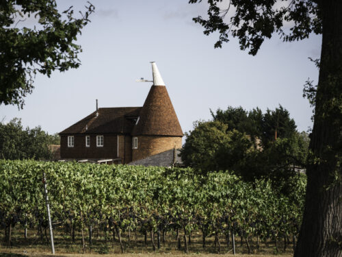 Produced in Kent Warehorne Vineyard Event Photography 0051