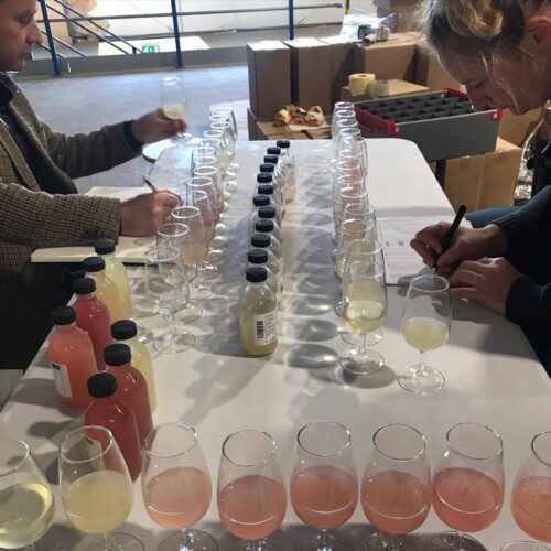 Defined Wine tasting