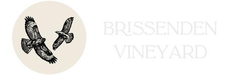 Brissenden Logo