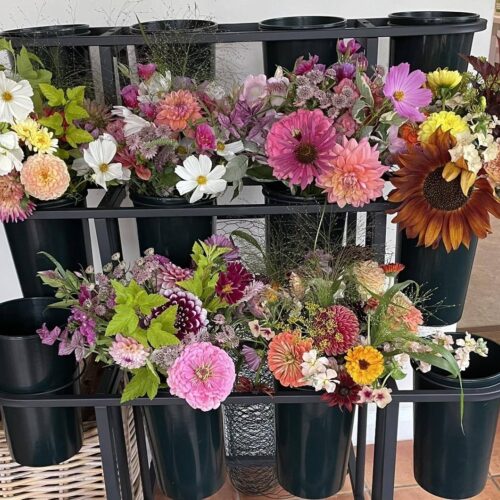 Hawkenbury Boquet group